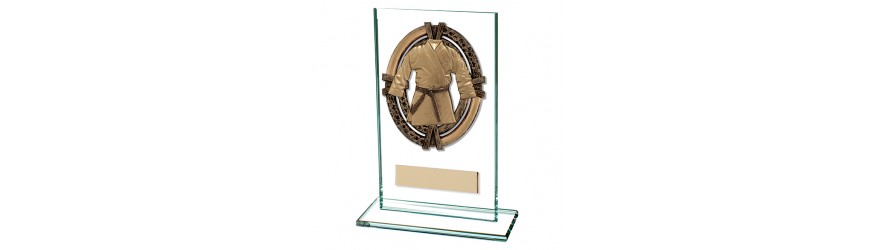 MAVERICK MARTIAL ARTS TROPHY - 5 SIZES - 12.5CM - 20CM